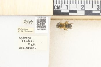 Media type: image;   Entomology 768582 Aspect: Labels